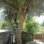 Casa Do Sobreiro Hébergement de vacances Caminha
