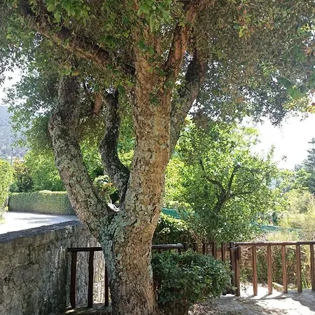 Casa Do Sobreiro בית נופש קמיניה
