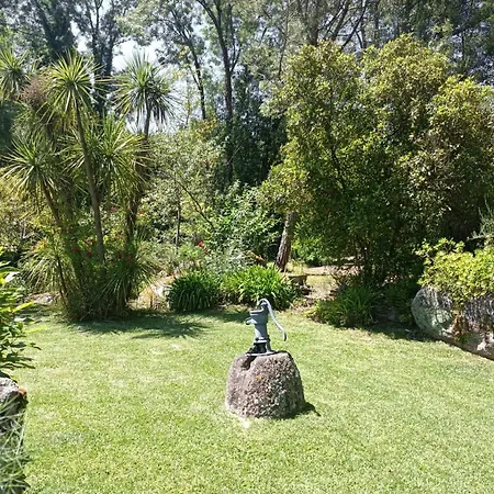 Casa Do Sobreiro Hébergement de vacances