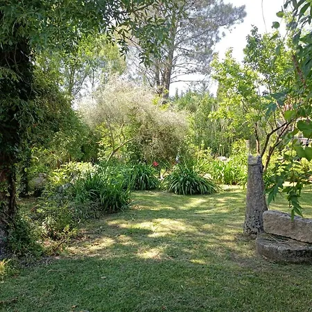 Casa Do Sobreiro Hébergement de vacances